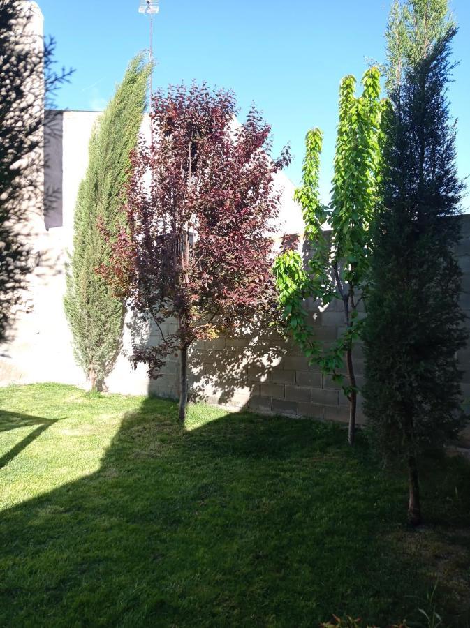 Casa Rural Alicia Villafranca de Ebro Buitenkant foto