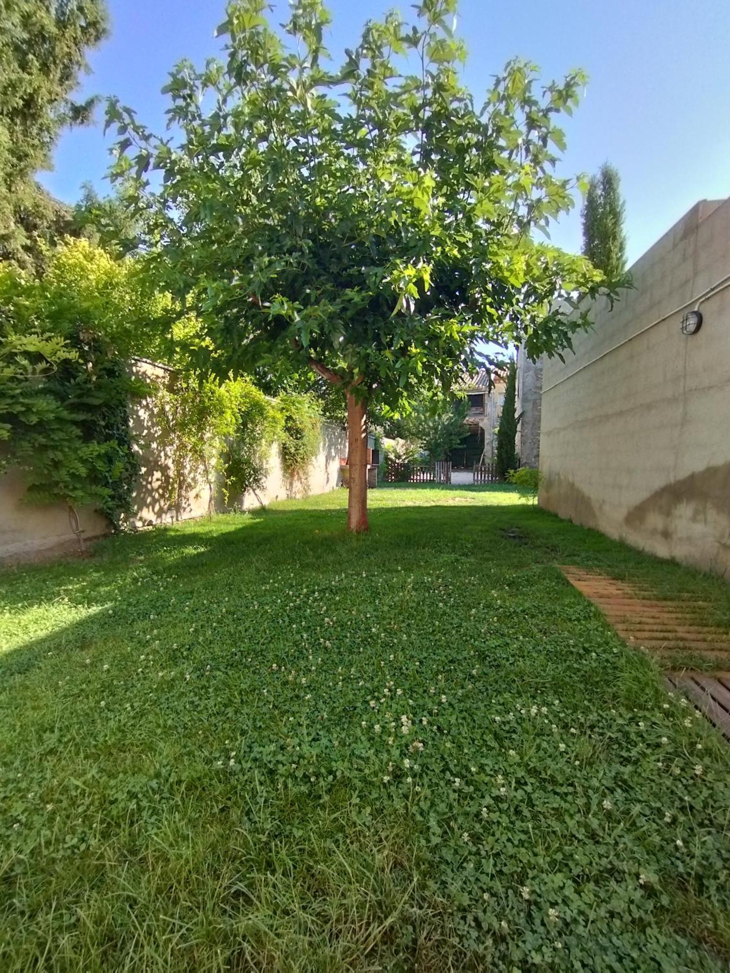 Casa Rural Alicia Villafranca de Ebro Buitenkant foto